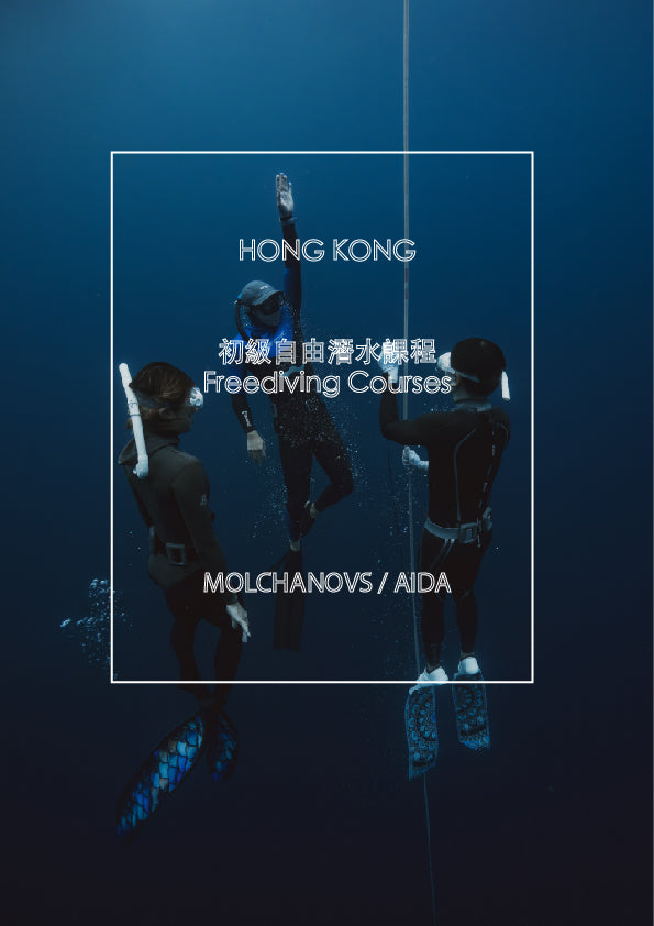 初級自由潛水課程