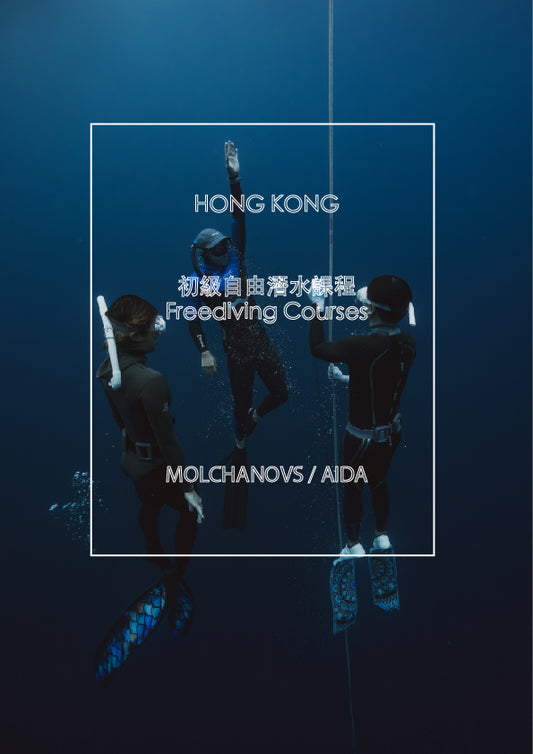 初級自由潛水課程